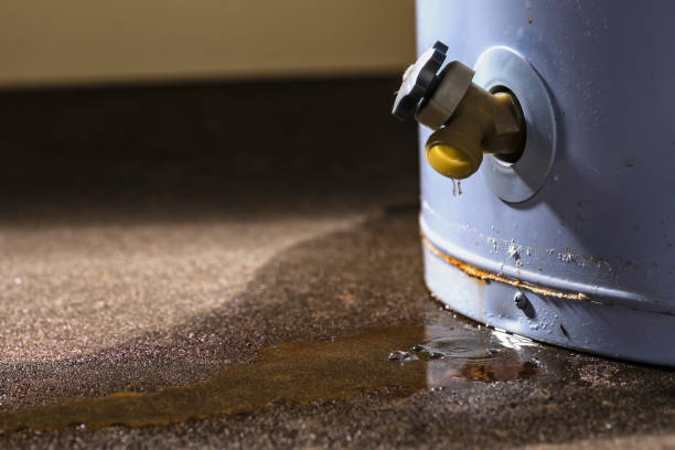 Best Mold removal after water damage  in University Heights, OH