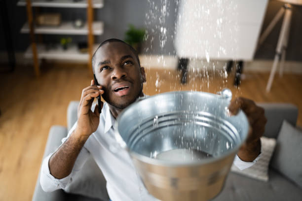 Best Flood restoration services  in University Heights, OH