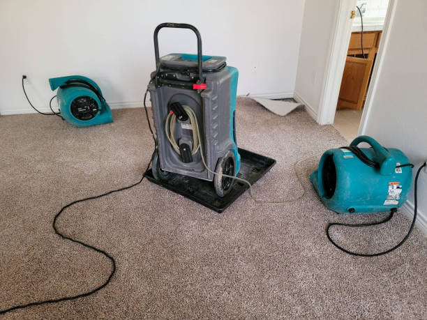 Best Water damage contractors near me  in University Heights, OH