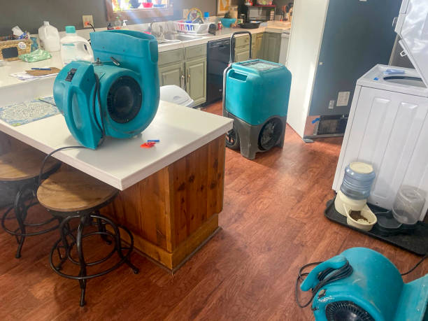 Best 24/7 water damage repair  in University Heights, OH