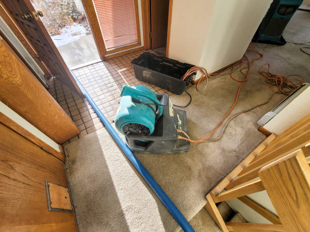 Best Flooded house restoration  in University Heights, OH