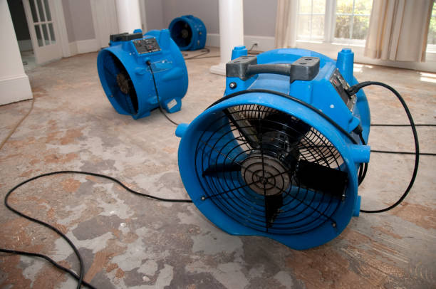 Best Water damage restoration near me  in University Heights, OH