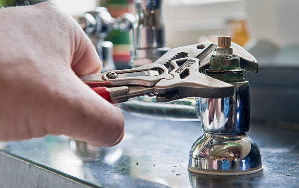 Best Professional water damage repair  in University Heights, OH