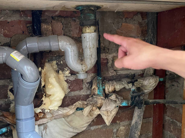 Best Water damage contractors near me  in University Heights, OH